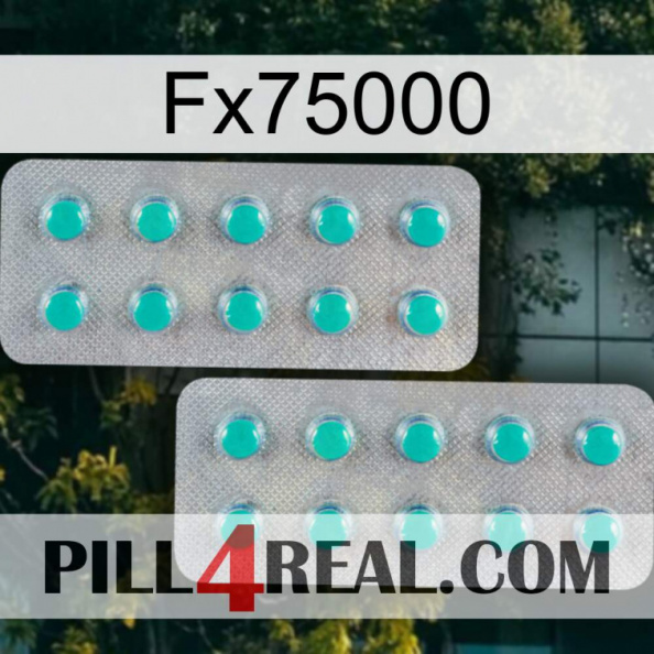 Fx75000 29